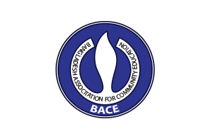 Domain registration and hosting for NGO BACE